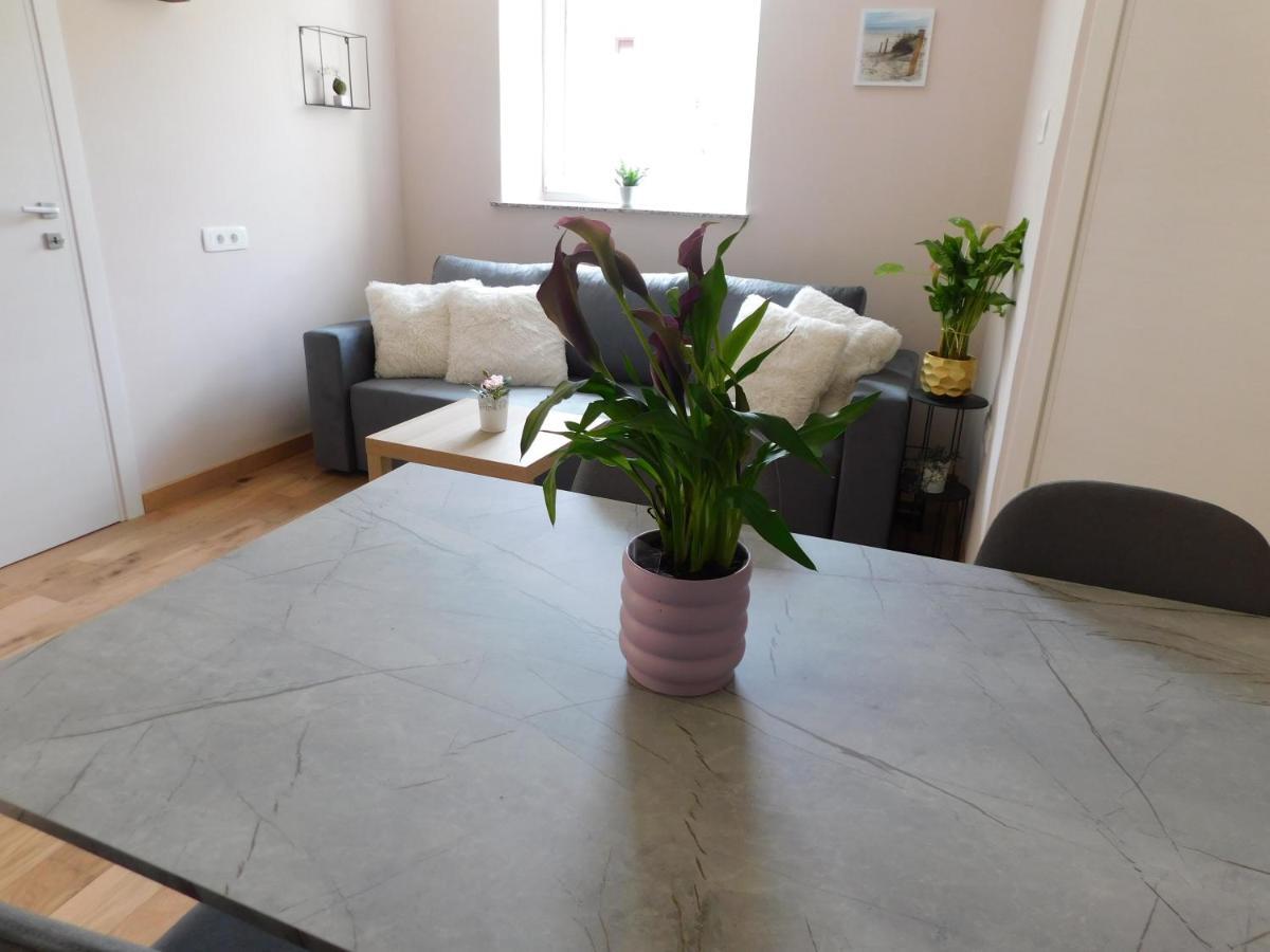 Hisa Limoni Apartment Koper Bagian luar foto